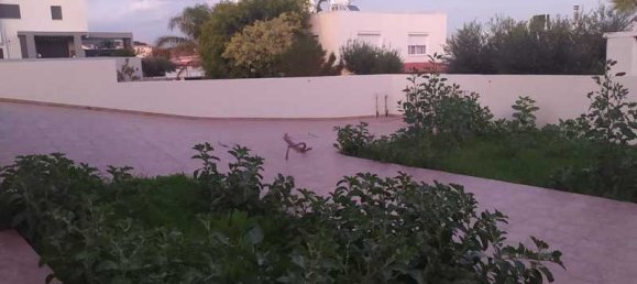 5 Schlafzimmer Gewerbliche Immobilie in Trachoni, Cyprus, Nr. 19934 5