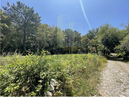 Земельный участок 882м² в Виана ду Каштелу, Португалия № 59063