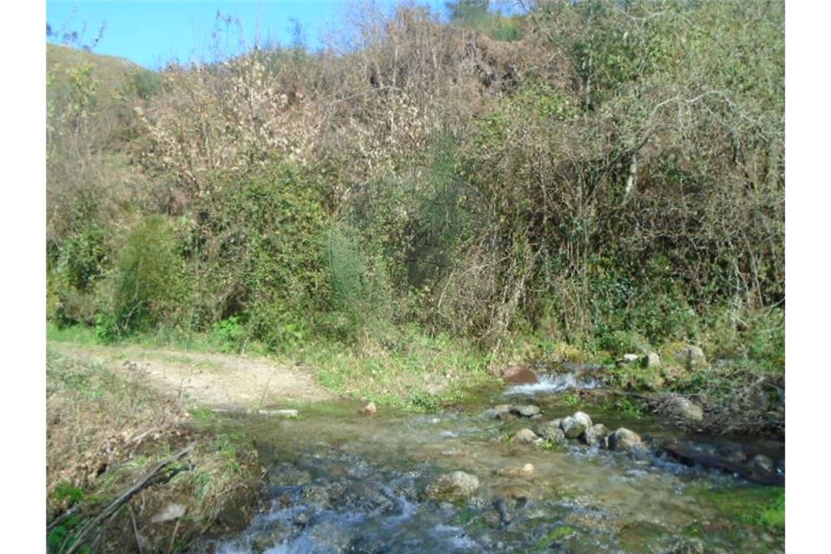5430m² Land in Ponte da Barca, Portugal No. 58546