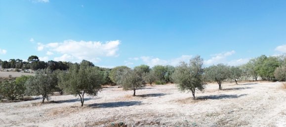  قطعة أرض في Larnaka, Cyprus 7488متر مربع رقم 181254 4