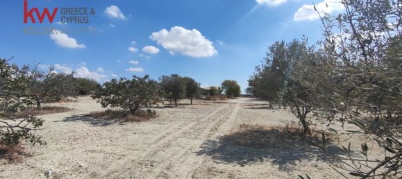  قطعة أرض في Larnaka, Cyprus 7488متر مربع رقم 181254 12
