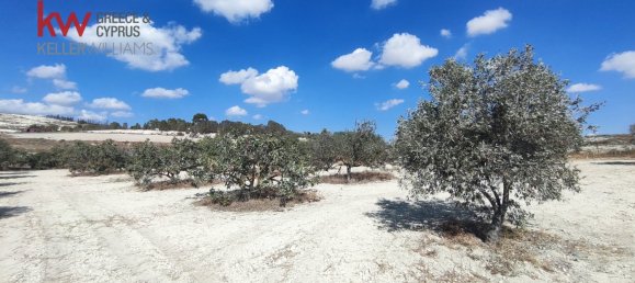  قطعة أرض في Larnaka, Cyprus 7488متر مربع رقم 181254 11