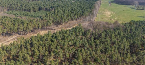 Grundstück in Teltow-Fläming, Germany, Nr. 53769 9