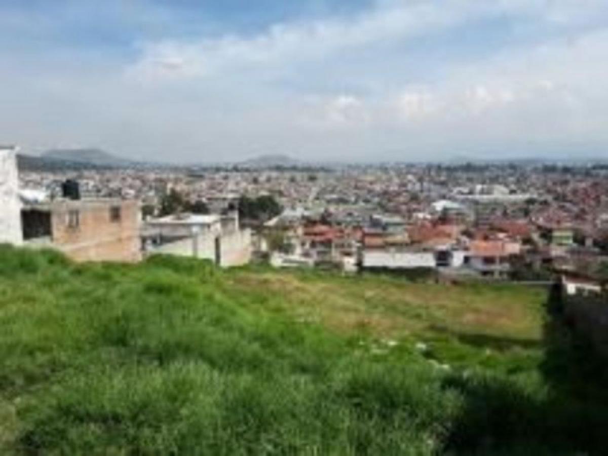 Terreno en San Buenaventura, Mexico No. 206023