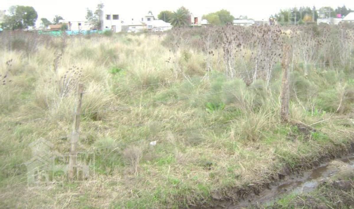  قطعة أرض في Campo Creado, Argentina رقم 38607