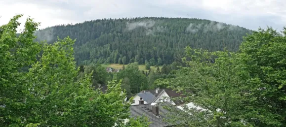 3 chambres Appartement à Baden-Wurttemberg, Germany No. 53127 10