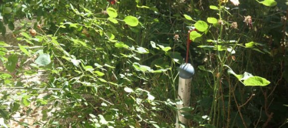 4 غرف نوم تاون هاوس في Boblingen, Germany رقم 247497 18