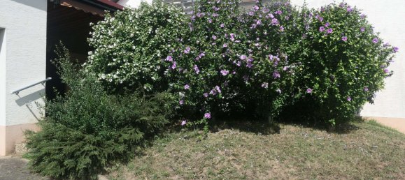 4 غرف نوم تاون هاوس في Boblingen, Germany رقم 247497 6