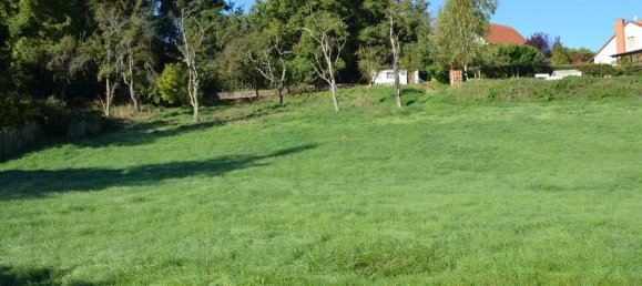 Casa de 3 habitaciónes en Kusel, Germany No. 168716 4
