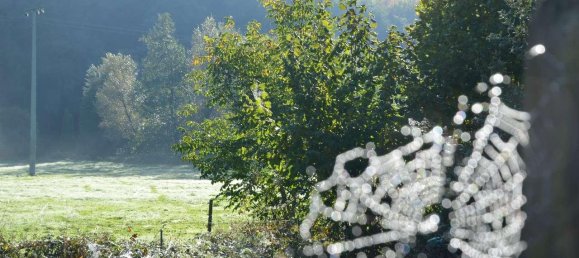 Casa de 3 habitaciónes en Kusel, Germany No. 168716 3