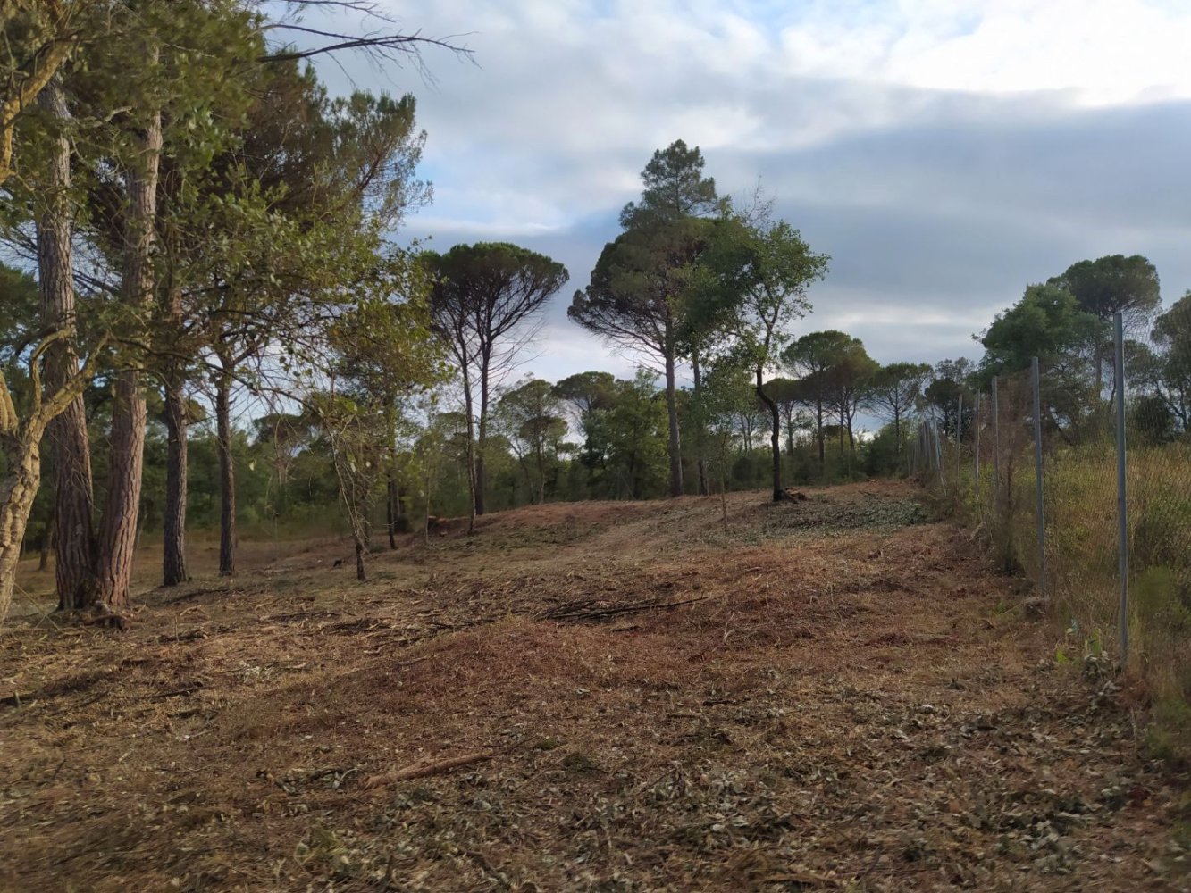 1800m² Land in Sils, Spain No. 232649