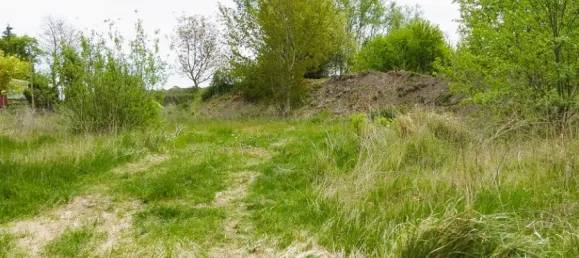 Land in Demmin, Germany No. 295583 5