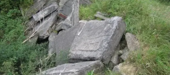 Land in Demmin, Germany No. 295583 11