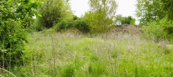 Land in Demmin, Germany No. 295583 2