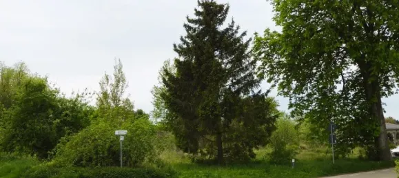 Land in Demmin, Germany No. 295583 6