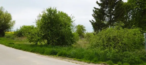 Land in Demmin, Germany No. 295583 7