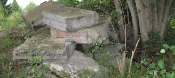 Land in Demmin, Germany No. 295583 10