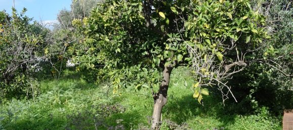  فندق في Chania, Greece 1333متر مربع رقم 5145 2