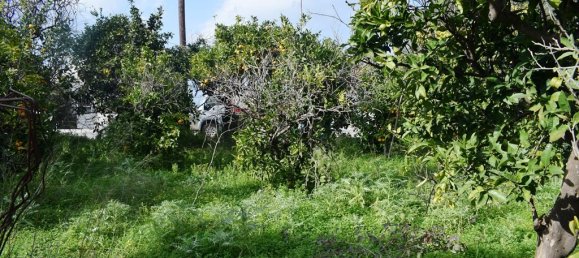  فندق في Chania, Greece 1333متر مربع رقم 5145 3