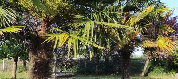 5 bedrooms House in Correzzola, Italy No. 327883 6