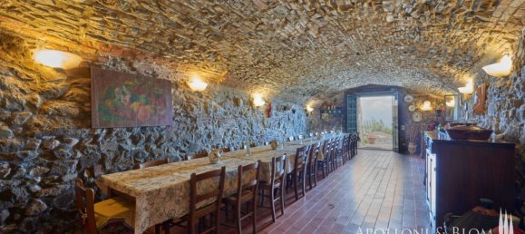 12 bedrooms House in Greve in Chianti, Italy No. 188809 13