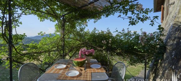 12 bedrooms House in Greve in Chianti, Italy No. 188809 12