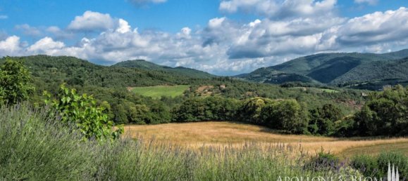 12 bedrooms House in Greve in Chianti, Italy No. 188809 4