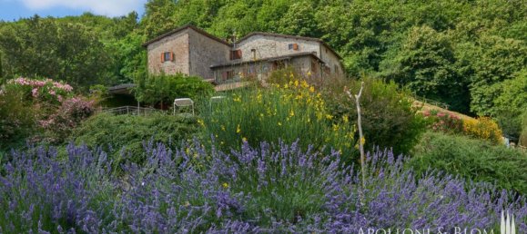 12 bedrooms House in Greve in Chianti, Italy No. 188809 29