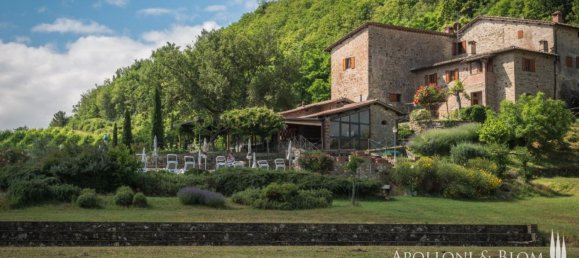 12 bedrooms House in Greve in Chianti, Italy No. 188809 2