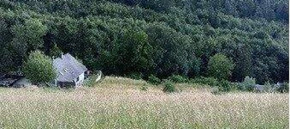 Terrain à Neulengbach, Austria No. 246665 3