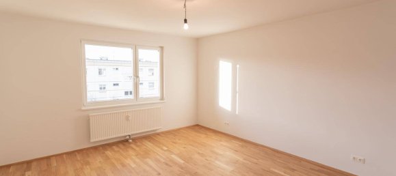 4-salle Appartement à Maria Enzersdorf, Austria No. 255536 14