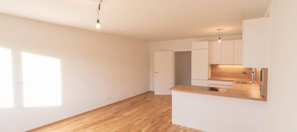 4-salle Appartement à Maria Enzersdorf, Austria No. 255536 8