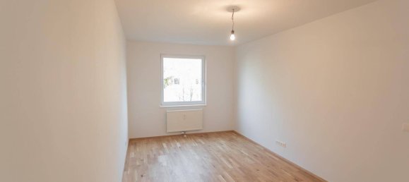 4-salle Appartement à Maria Enzersdorf, Austria No. 255536 21