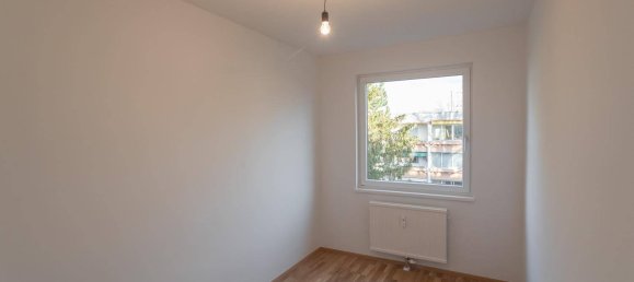 4-salle Appartement à Maria Enzersdorf, Austria No. 255536 20