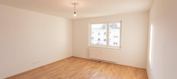 4-salle Appartement à Maria Enzersdorf, Austria No. 255536 16