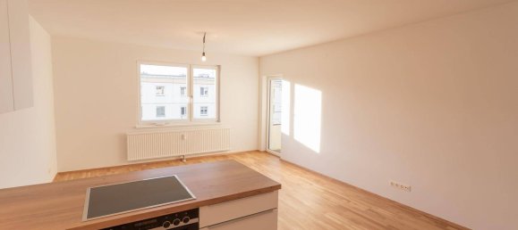 4-salle Appartement à Maria Enzersdorf, Austria No. 255536 6