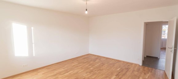 4-salle Appartement à Maria Enzersdorf, Austria No. 255536 15