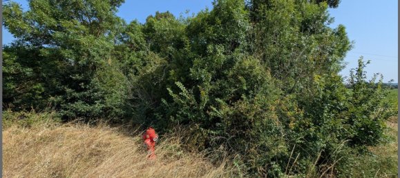 Земельный участок 17597м² в Верхняя Гаронна, Франция № 317704 2