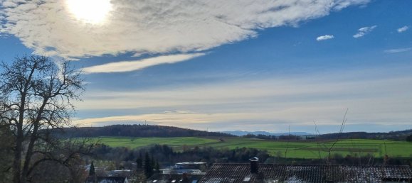 Casa de 9 habitaciónes en Baden-Wurttemberg, Germany No. 54935 2