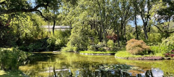 Propiedad comercial en Grimaud, France 380 m² No. 811 6