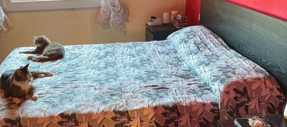 3 bedrooms Apartment in La Spezia, Italy No. 318692 7