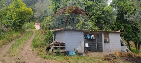 Grundstück in Cabeceiras de Basto, Portugal 2300m², Nr. 28696 4