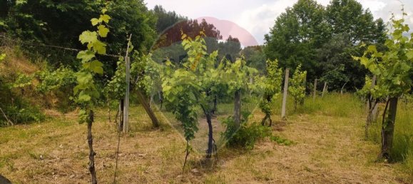 Grundstück in Cabeceiras de Basto, Portugal 2300m², Nr. 28696 6