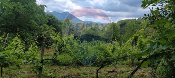 Grundstück in Cabeceiras de Basto, Portugal 2300m², Nr. 28696 5