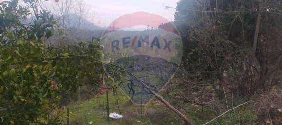 Grundstück in Cabeceiras de Basto, Portugal 2300m², Nr. 28696 3