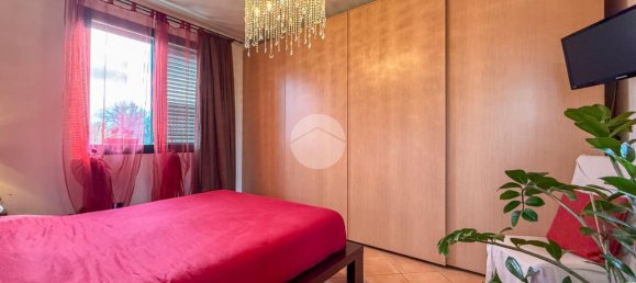 3 rooms Apartment in Misano Adriatico, Italy No. 14859 16