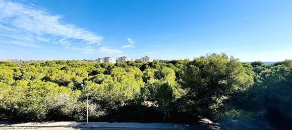 Вилла с 10 спальнями в Дехеса де Кампоамор, Испания № 287233 9