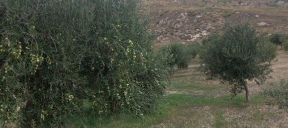 Земельный участок 8400м² в Каттолика Эраклея, Италия № 112694 9