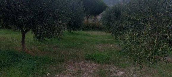 Земельный участок 8400м² в Каттолика Эраклея, Италия № 112694 8