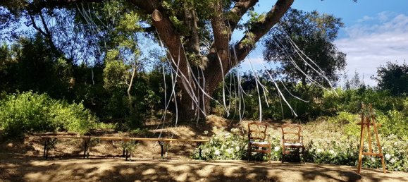 Propriété commerciale à Aix-en-Provence, France 1000m² No. 816 8